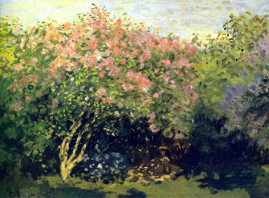 Claude Monet - Lilos al sol