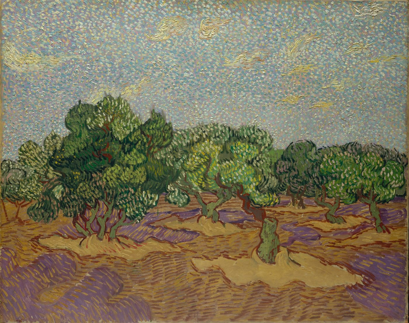 Vincent van Gogh - Olivos