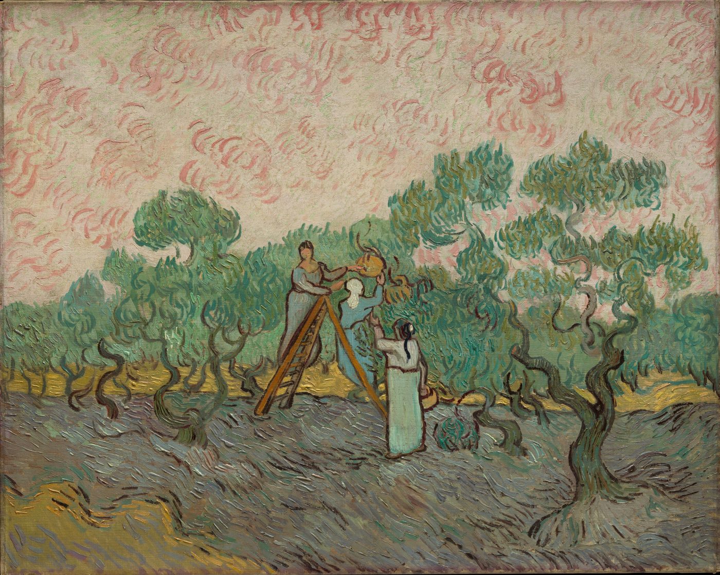 Vincent van Gogh - Mujeres cogiendo aceitunas