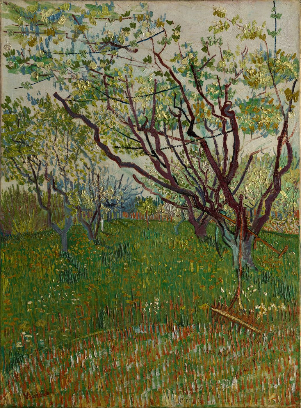 Vincent van Gogh - El huerto en flor